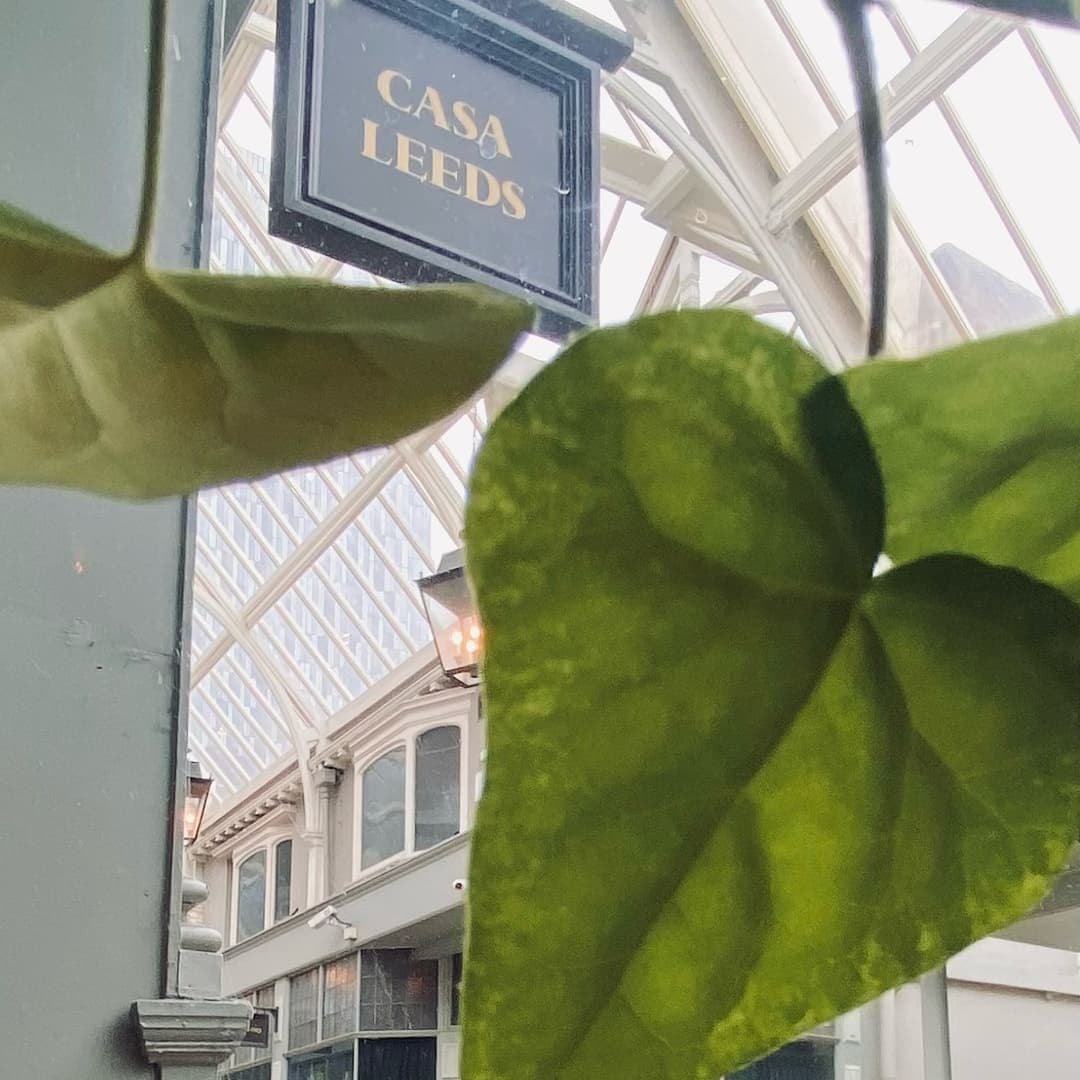Lush green leaves frame the entrance of Casa Leeds, showcasing a charming, glass-roofed dining space.