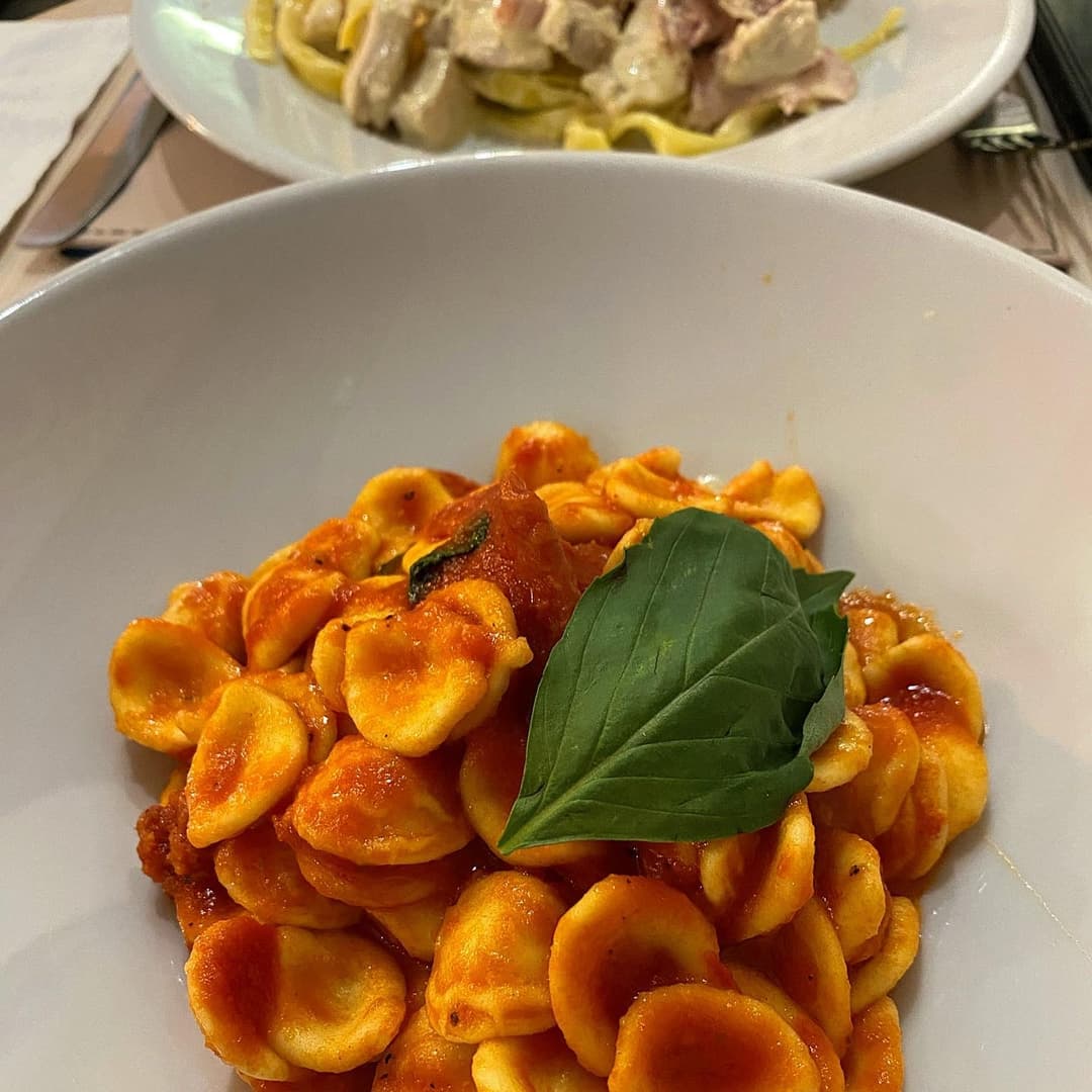 A bowl of orecchiette pasta in tomato sauce, garnished with fresh basil, with a plate of creamy chicken pasta in the background.