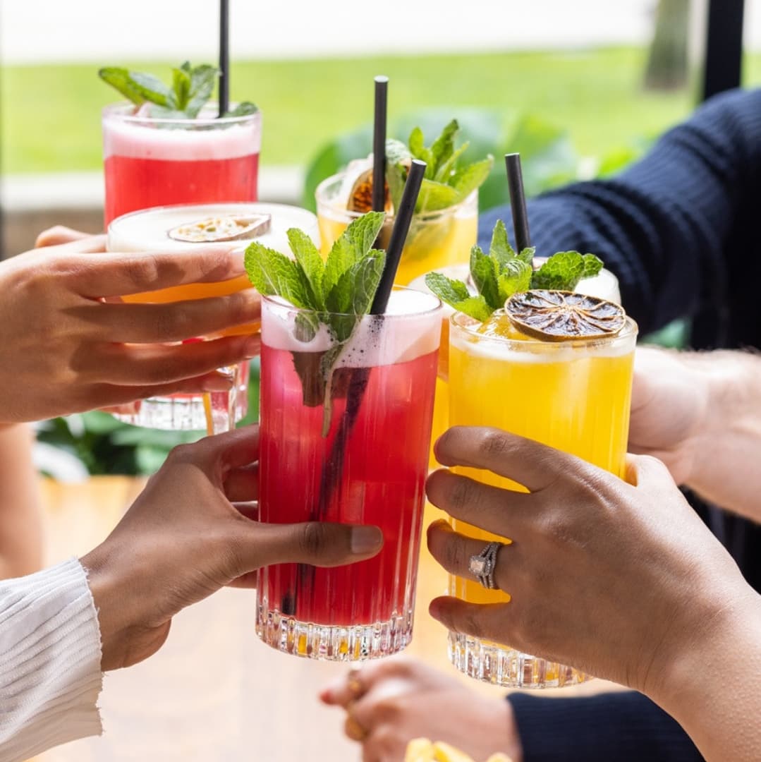 Colorful cocktails with garnishes of mint and dried citrus are raised in a toast, creating a lively, festive atmosphere.