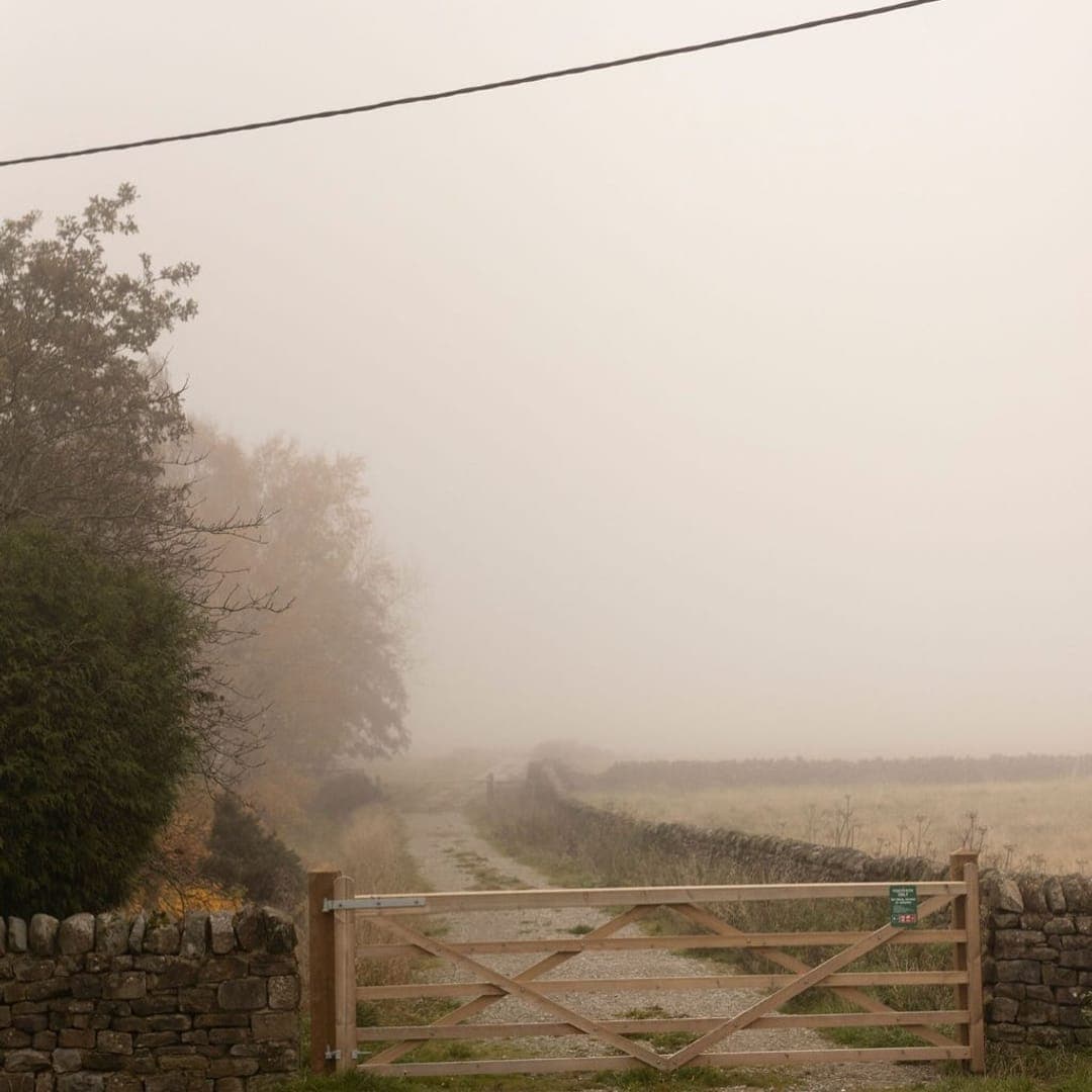 The Penny Bun — misty Yorkshire countryside with five-bar gate and dry stone wall