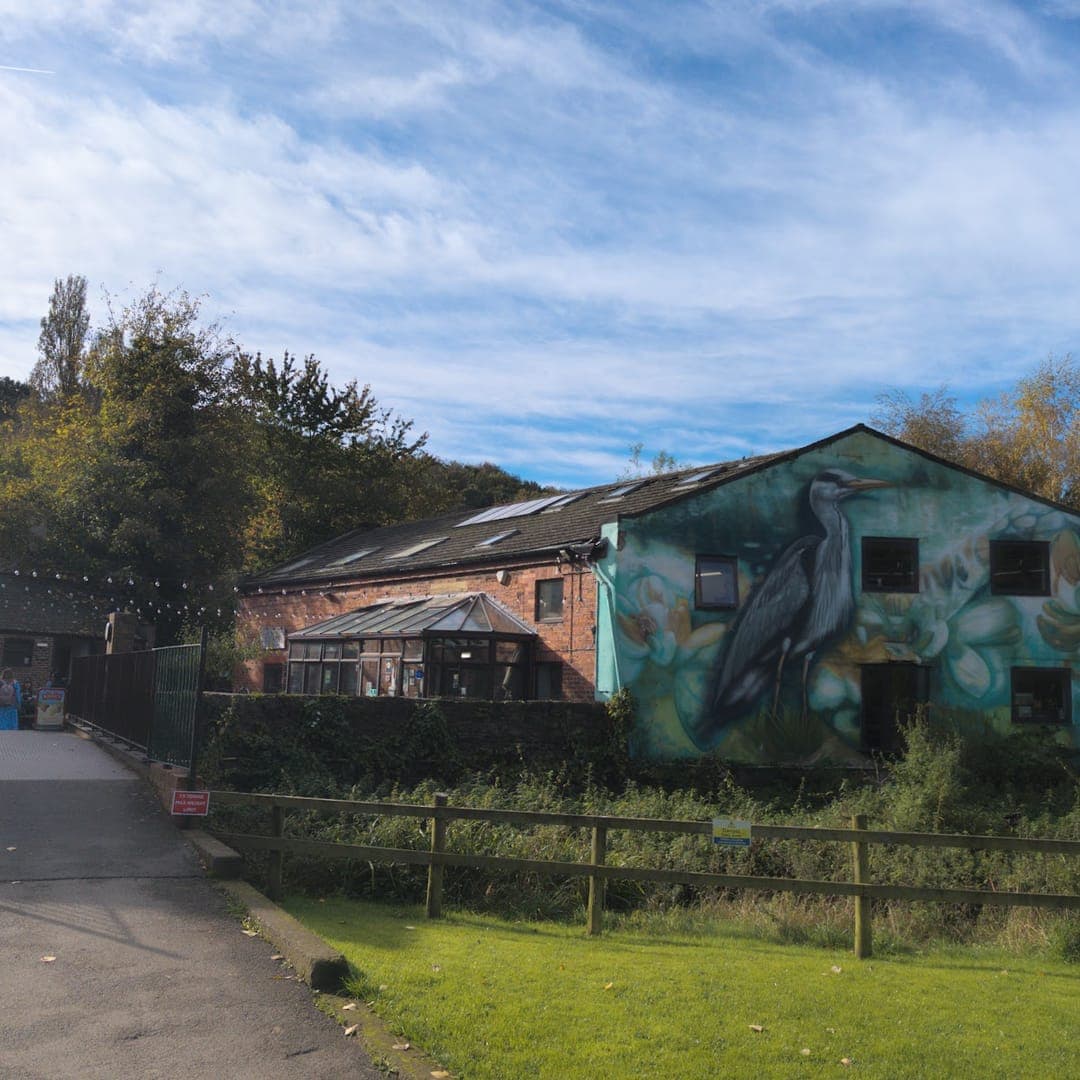 Meanwood Valley Urban Farm buildings with whale mural and festoon lights