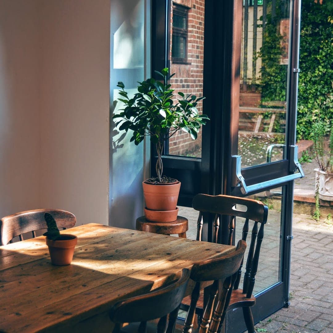 Sunny window table with plant overlooking the garden at The Barn Coffee Shop Meanwood