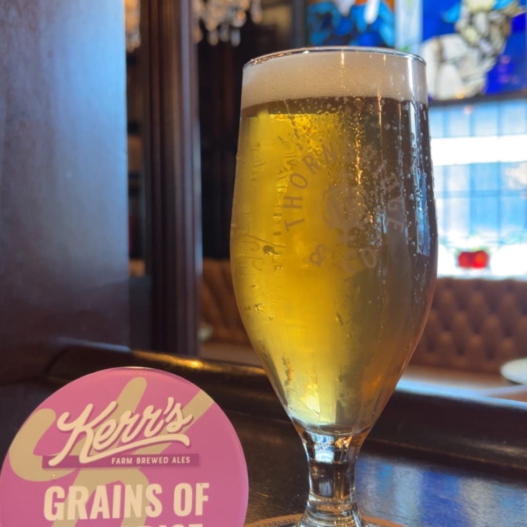 The Bankers Cat pint of golden beer with chandelier and stained glass window behind