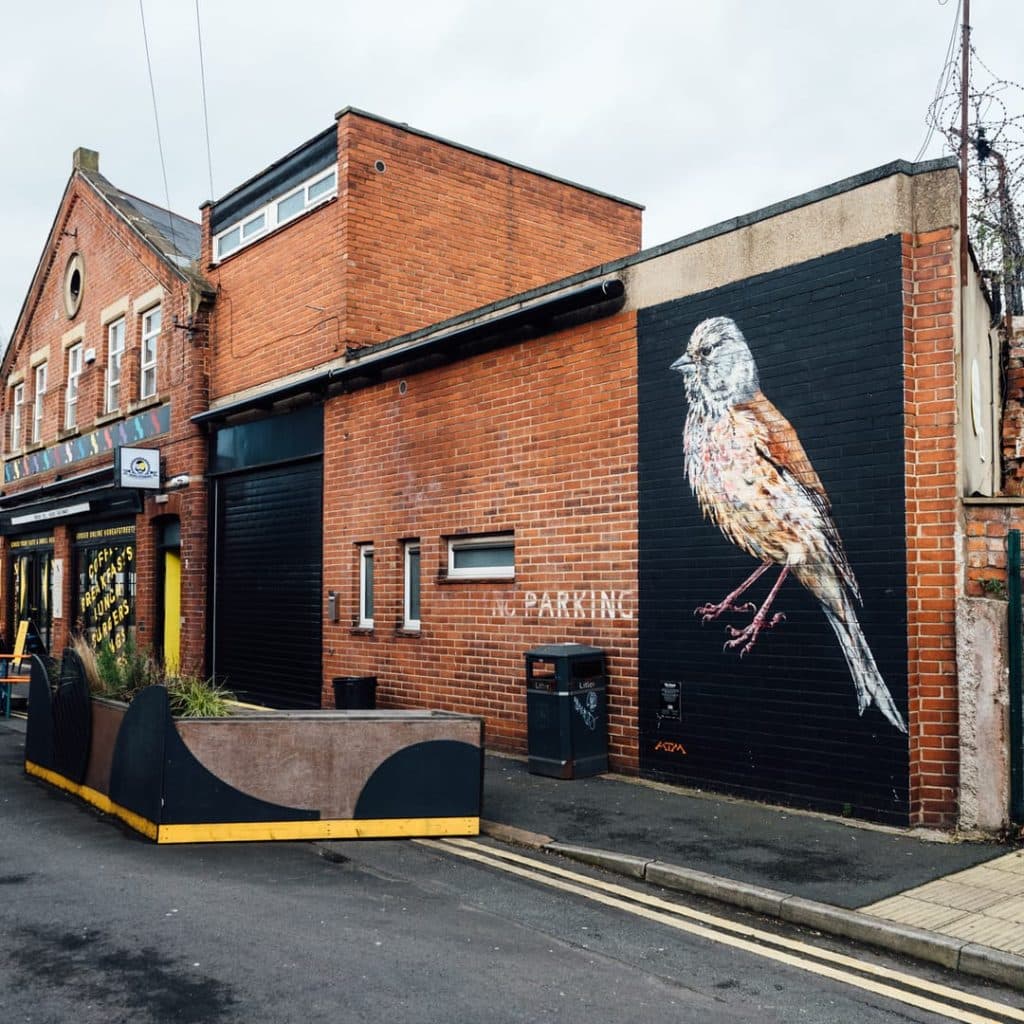 The Linnet mural by ATM on the side of Munro House, Sheaf Street, Leeds — small finch on a deep blue background, conservation theme