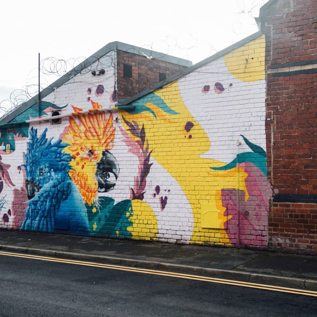 Tropical Birds mural by Peachzz on the back of Sheaf St cafe at Duke Studios, Leeds — vivid teal and orange birds on pink and yellow