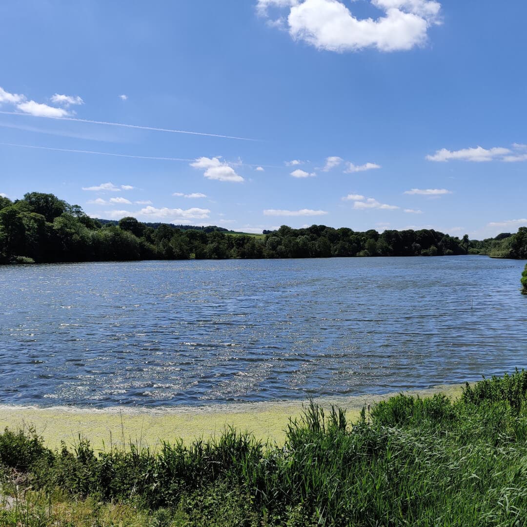 Lake at Yorkshire Sculpture Park