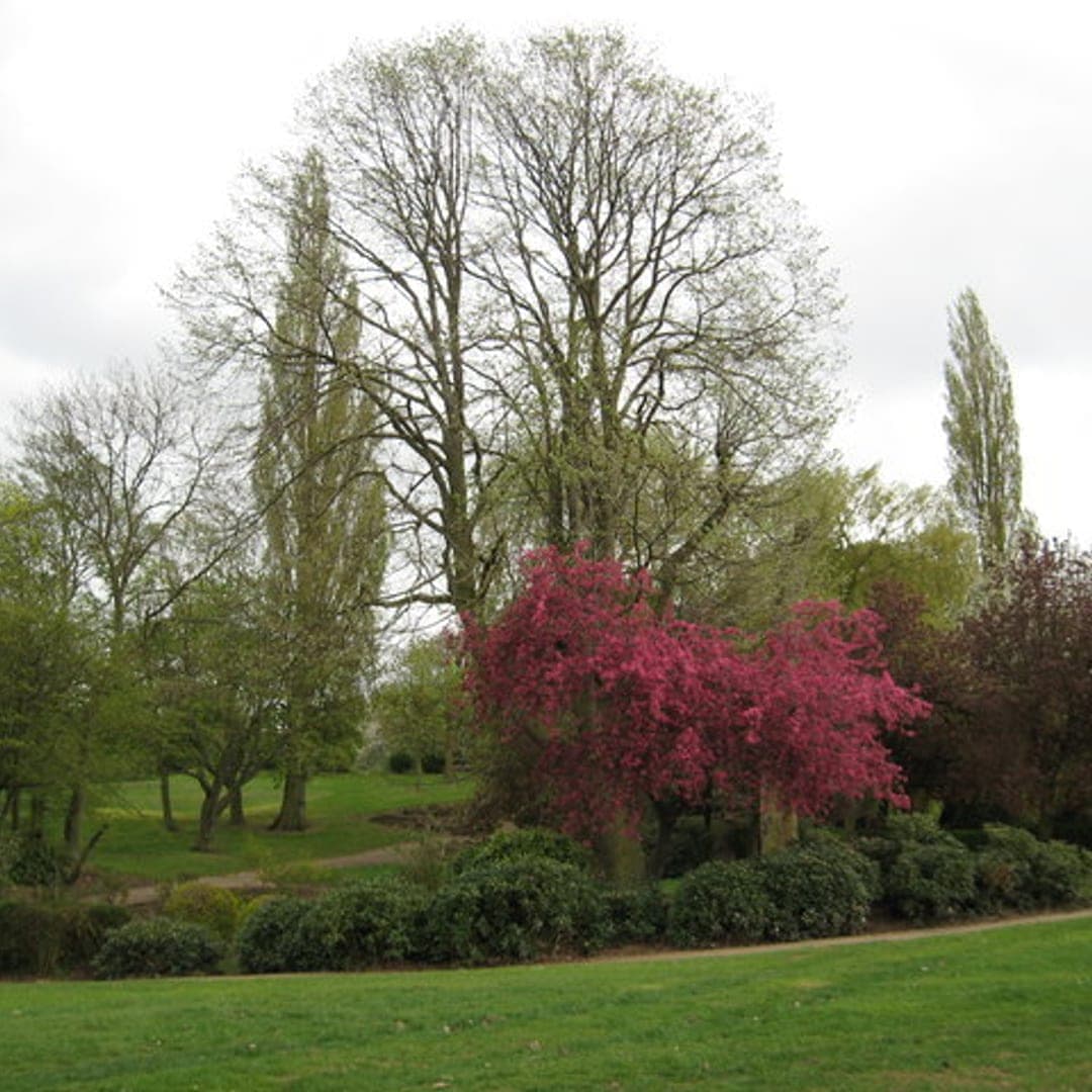 Hemsworth Water Park in spring