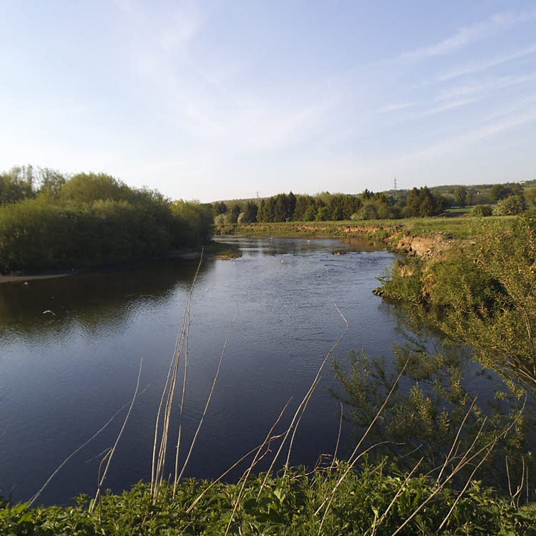 River Aire near Woodlesford on the Trans-Pennine Trail