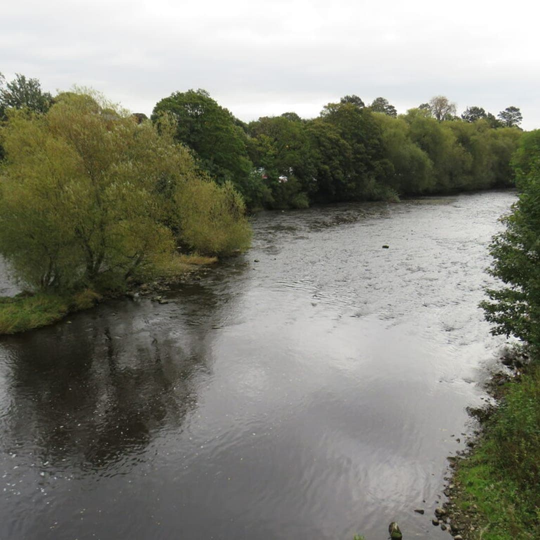River Wharfe at Wetherby