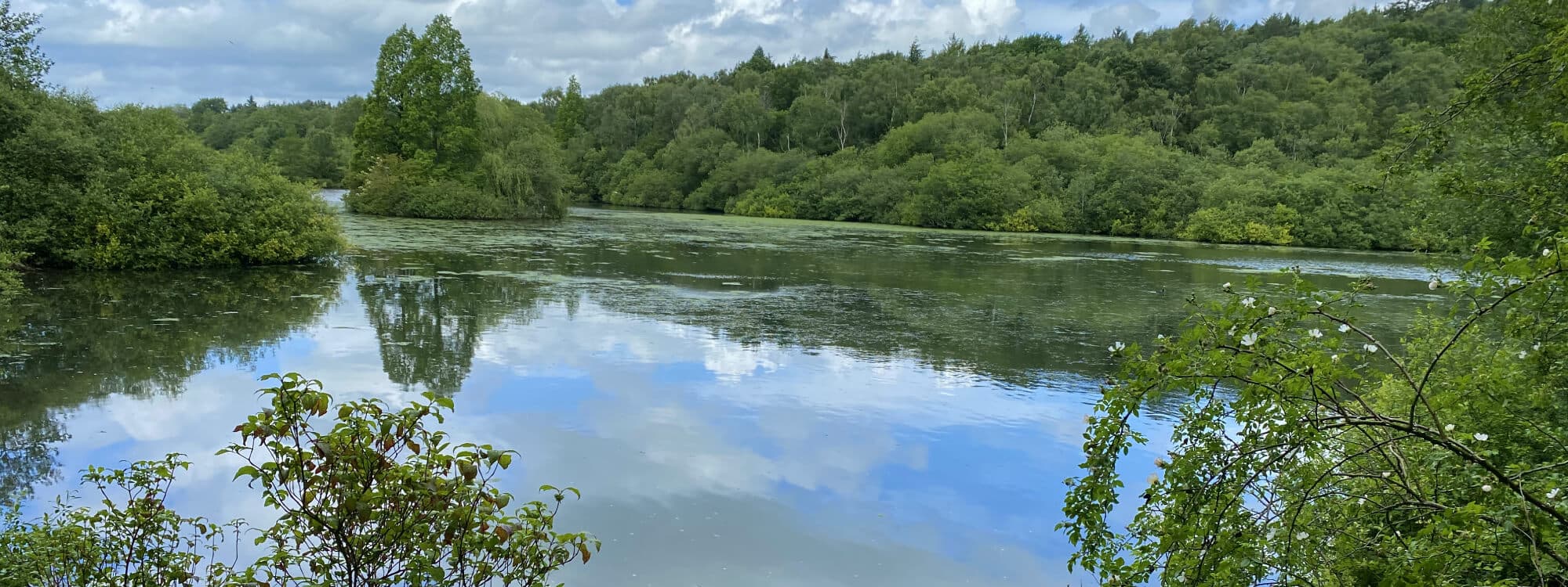 Adel Dam Nature Reserve Lake with reflection of the sky