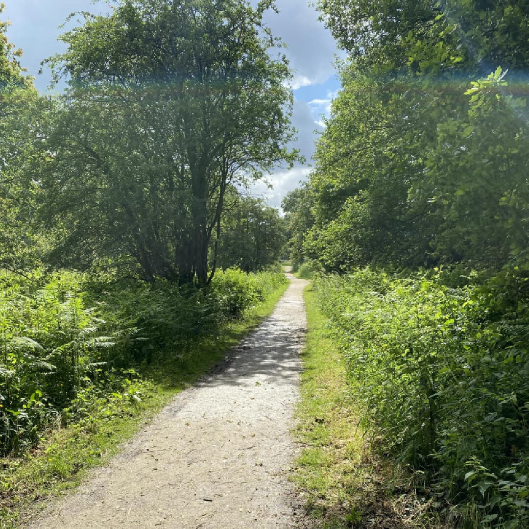 Adel Nature Reserve Footpath Adel Nature Reserve Footpath
