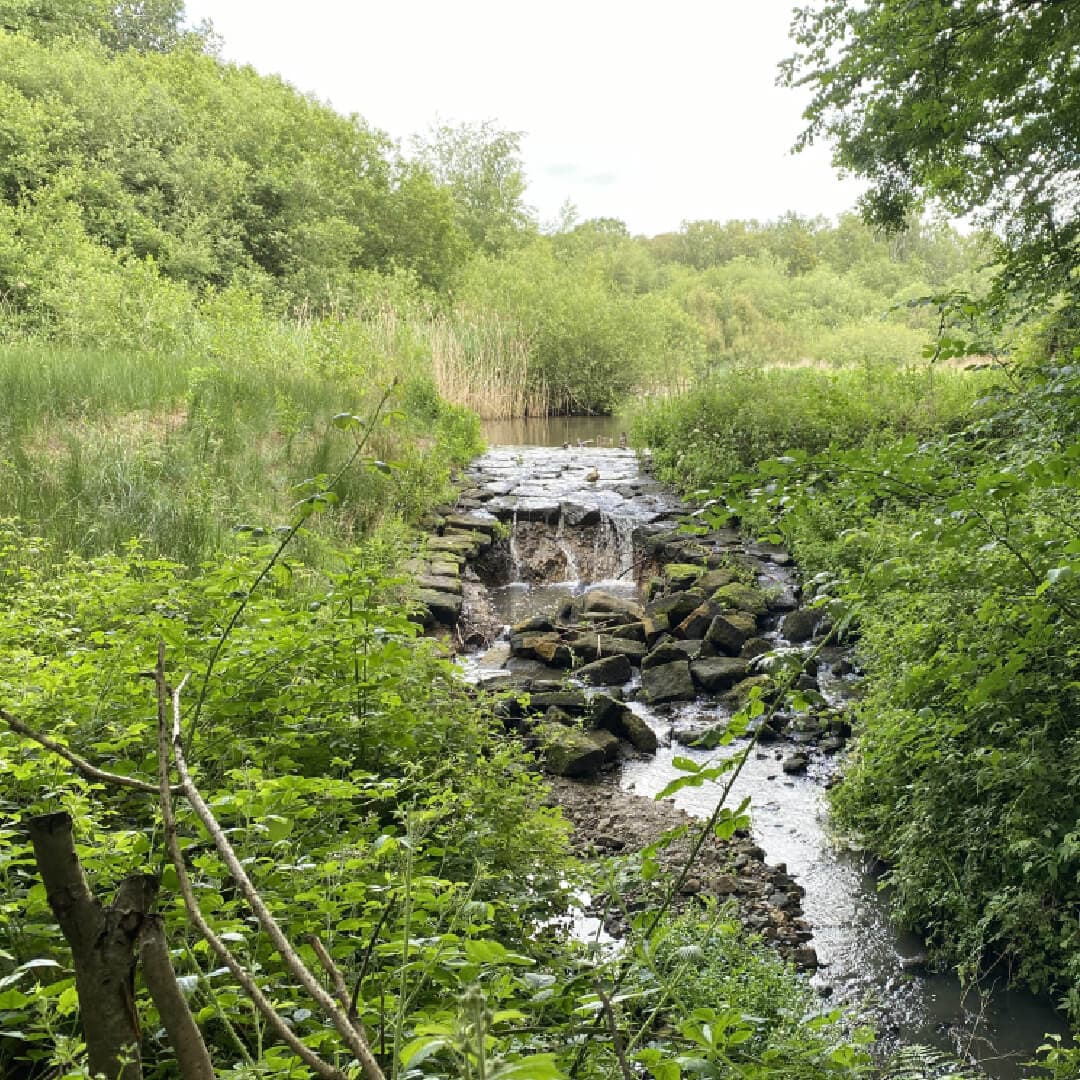 Adel Nature Reserve waterfall Adel Nature Reserve waterfall