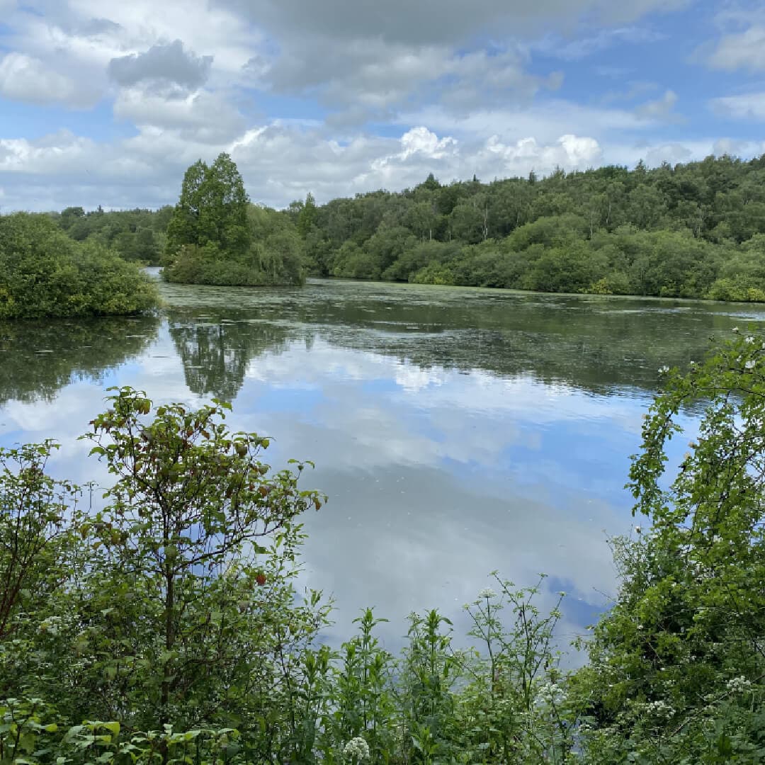 Adel Nature Reserve Lake Adel Nature Reserve Lake