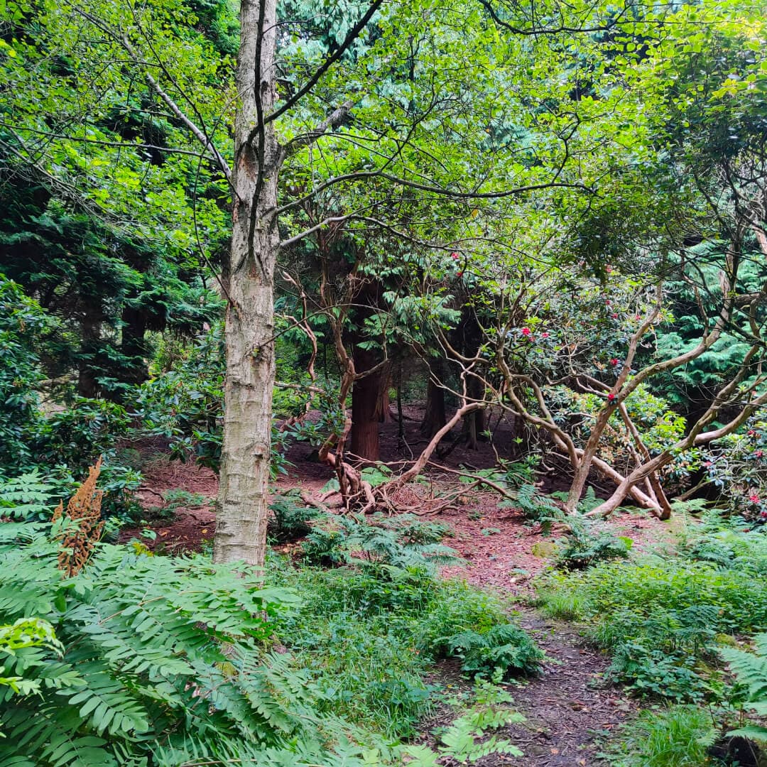 Meanwood Valley Local Nature Reserve Meanwood Valley Local Nature Reserve