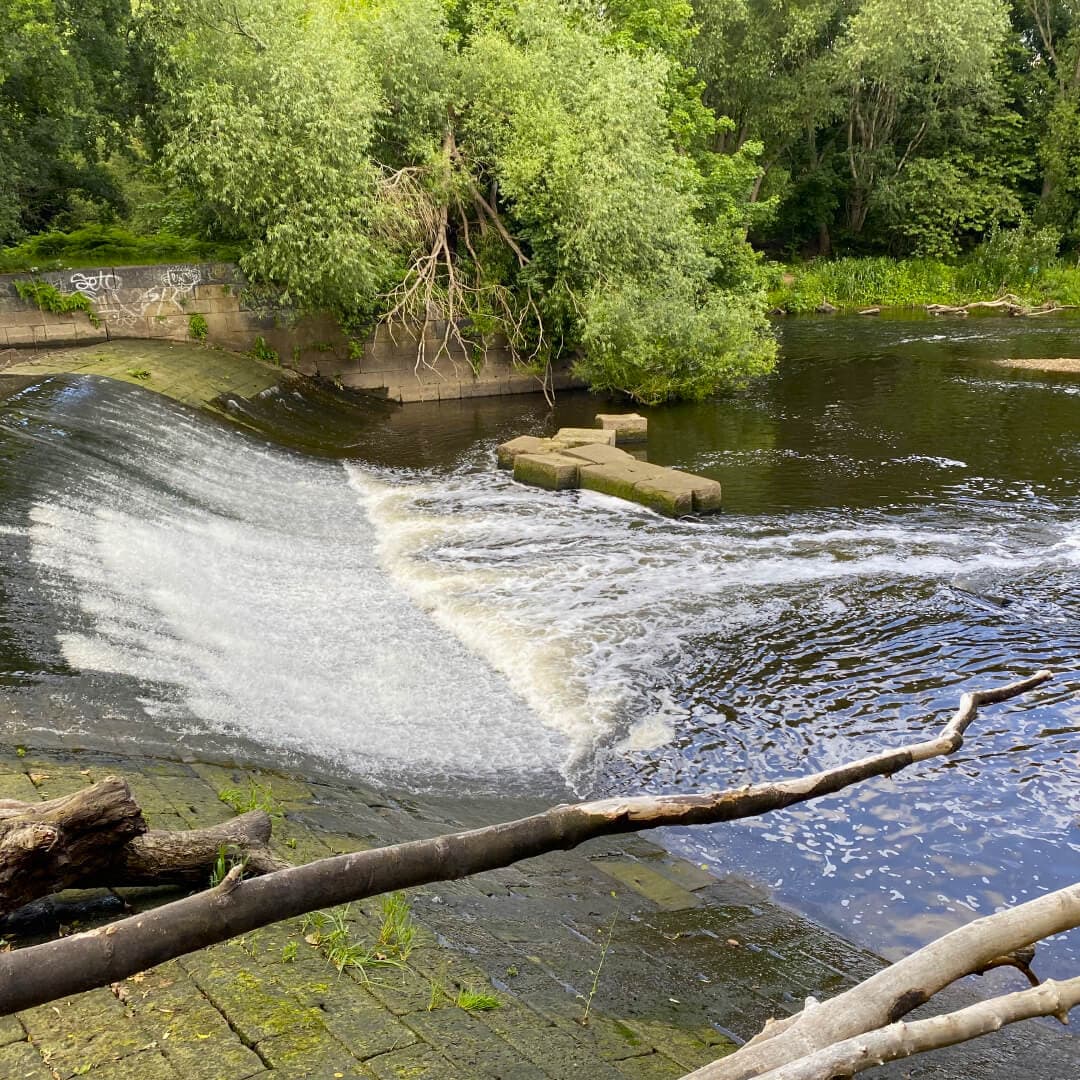 Kirkstall Valley Nature Reserve River Aire Weir Kirkstall Valley Nature Reserve River Aire Weir