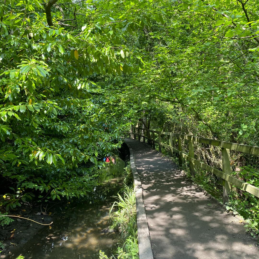 Meanwood Valley Local Nature Reserve path Meanwood Valley Local Nature Reserve path through Meanwood Park