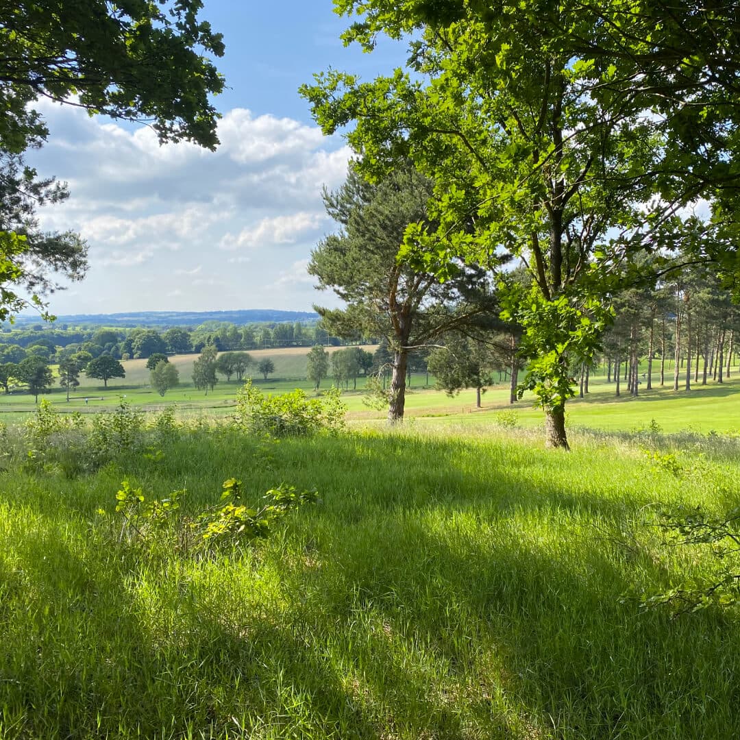 Meanwood Valley Local Nature Reserve field Meanwood Valley Local Nature Reserve field