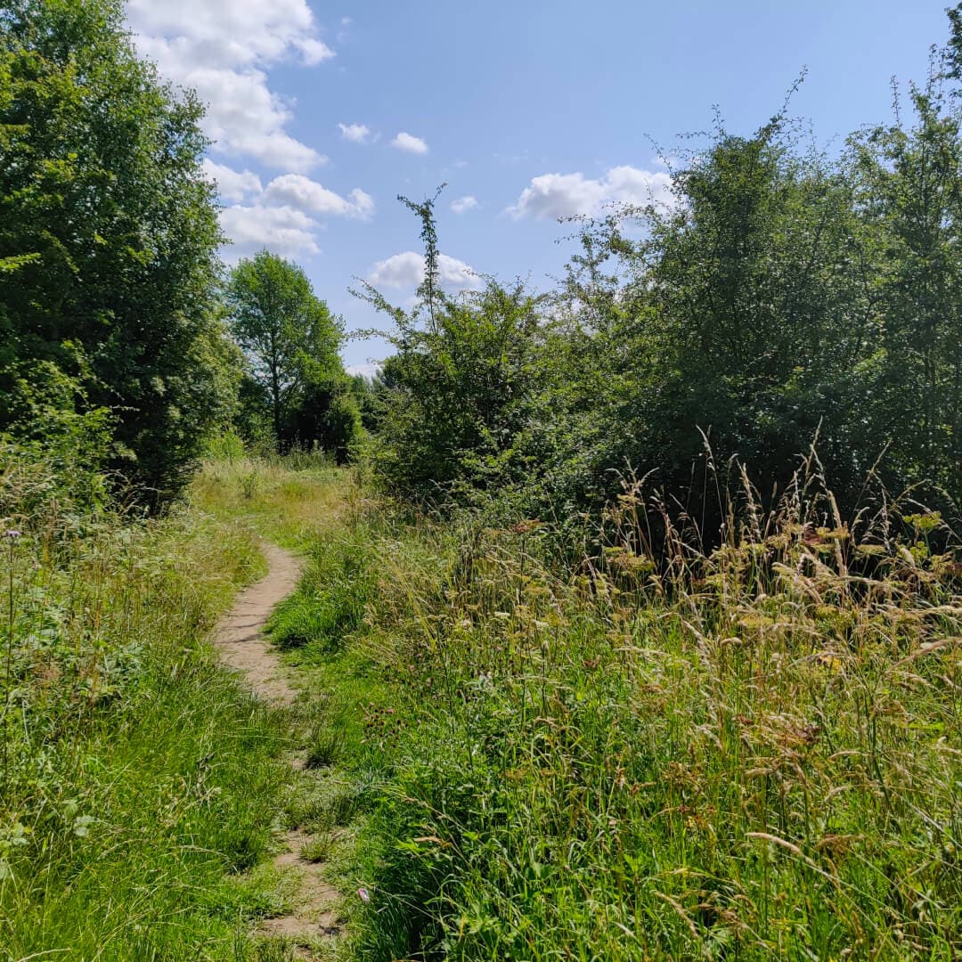 Kirkstall Valley Nature Reserve path Kirkstall Valley Nature Reserve path