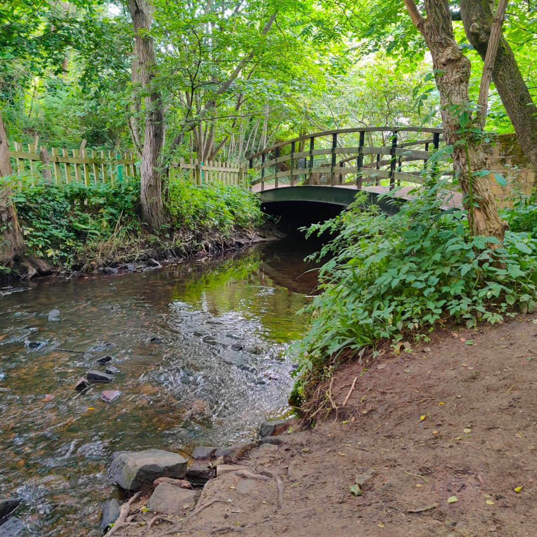 Meanwood Valley Local Nature Reserve bridge over beck Meanwood Valley Local Nature Reserve bridge over beck