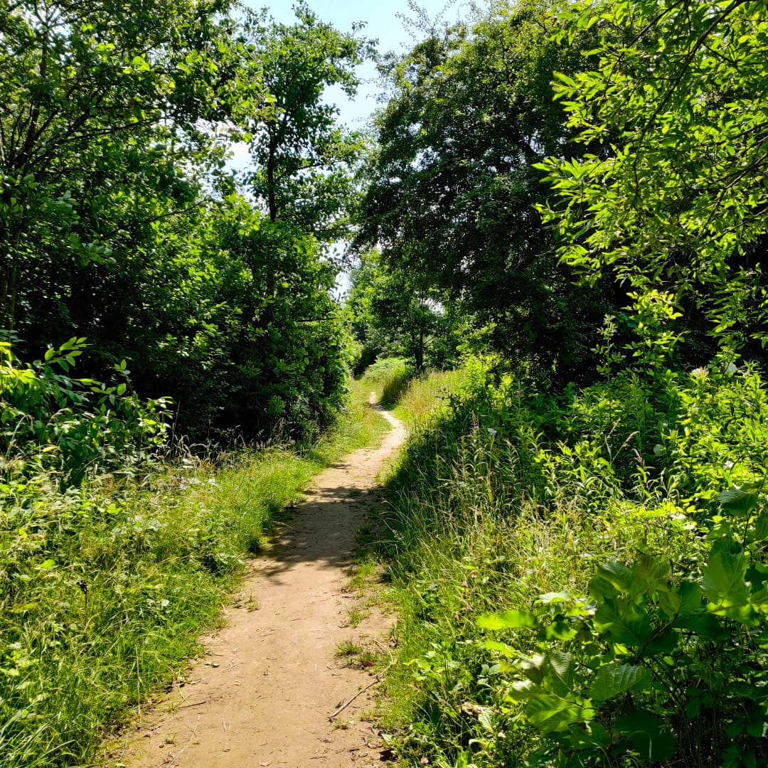 Kirkstall Valley Nature Reserve path Kirkstall Valley Nature Reserve path