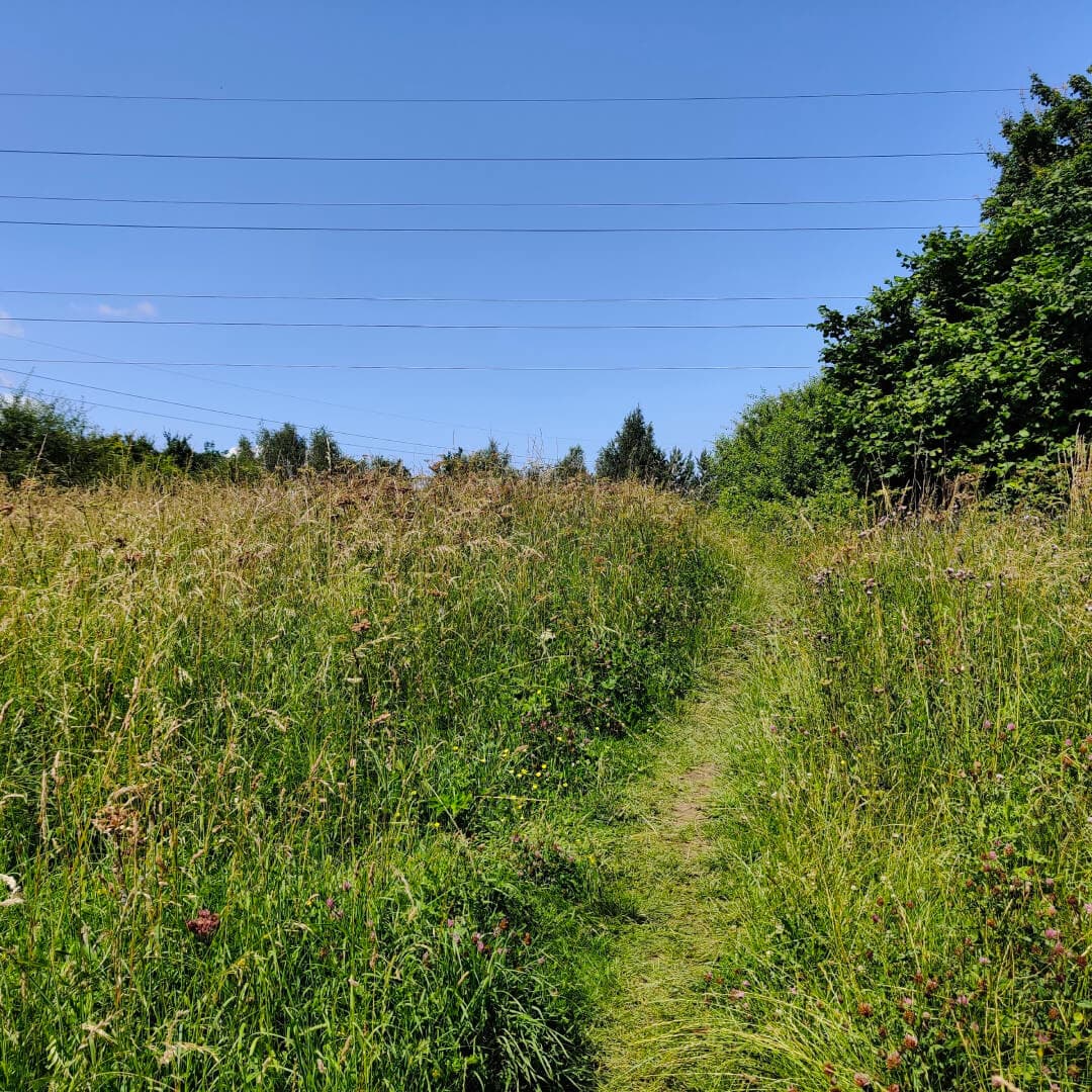 Kirkstall Valley Nature Reserve Wild Flower Meadow Kirkstall Valley Nature Reserve Wild Flower Meadow