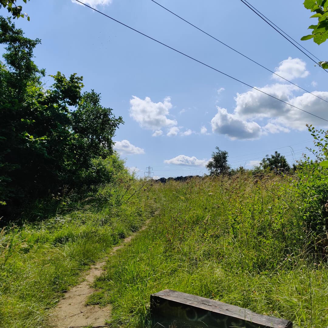 Kirkstall Valley Nature Reserve Summer Sun Kirkstall Valley Nature Reserve Summer Sun