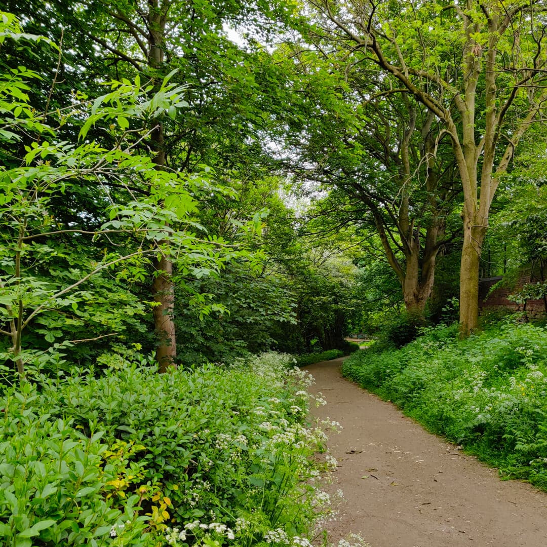 Meanwood Valley Local Nature Reserve bridge path in Meanwood Meanwood Valley Local Nature Reserve bridge path in Meanwood