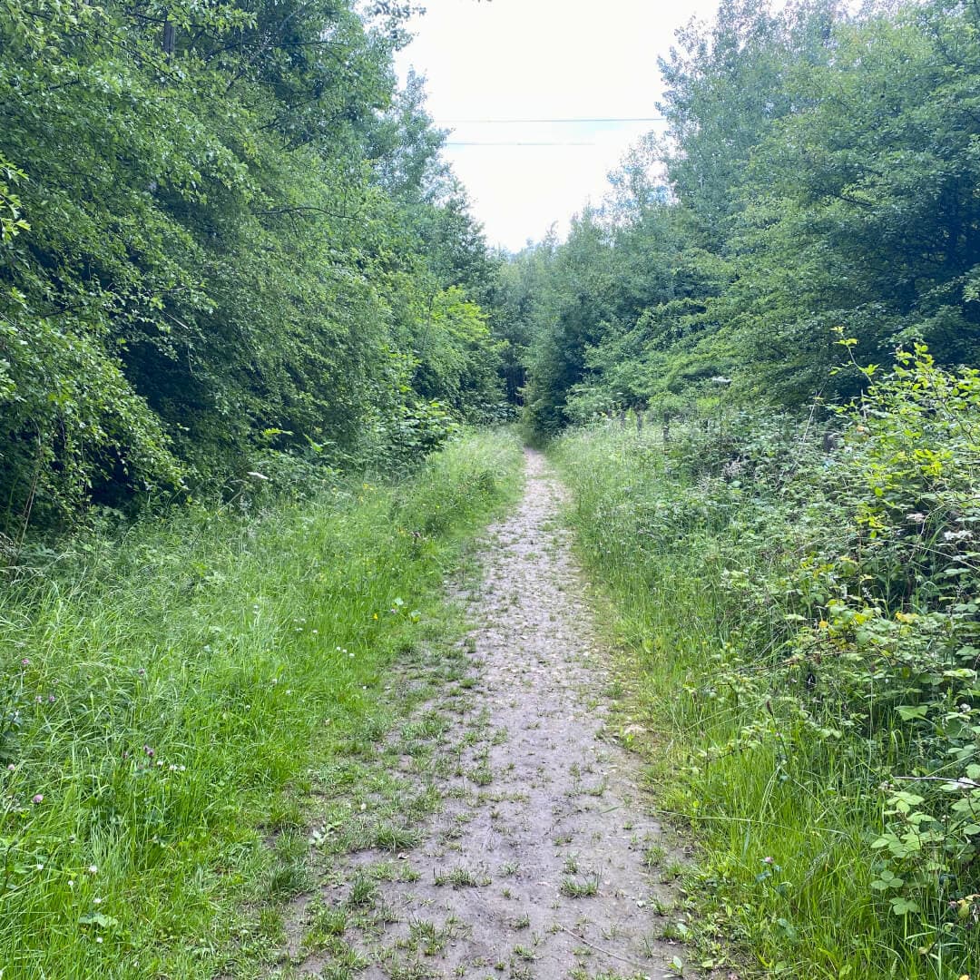 Kirkstall Valley Nature Reserve path Kirkstall Valley Nature Reserve path