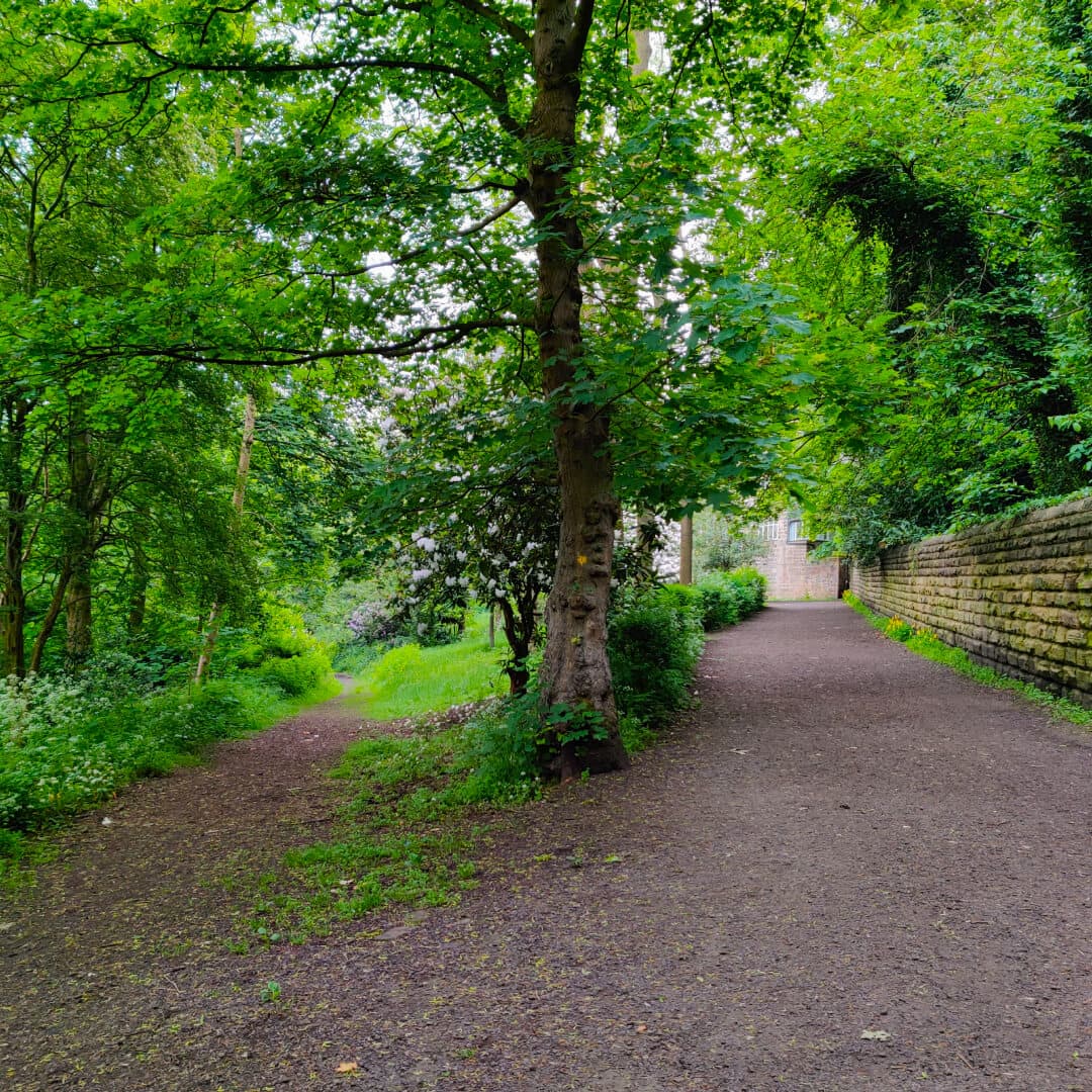 Meanwood Valley Local Nature Reserve path at Woodhouse Ridge Meanwood Valley Local Nature Reserve path at Woodhouse Ridge