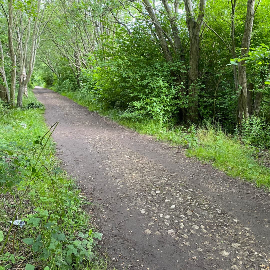 Kirkstall Valley Nature Reserve path Kirkstall Valley Nature Reserve path