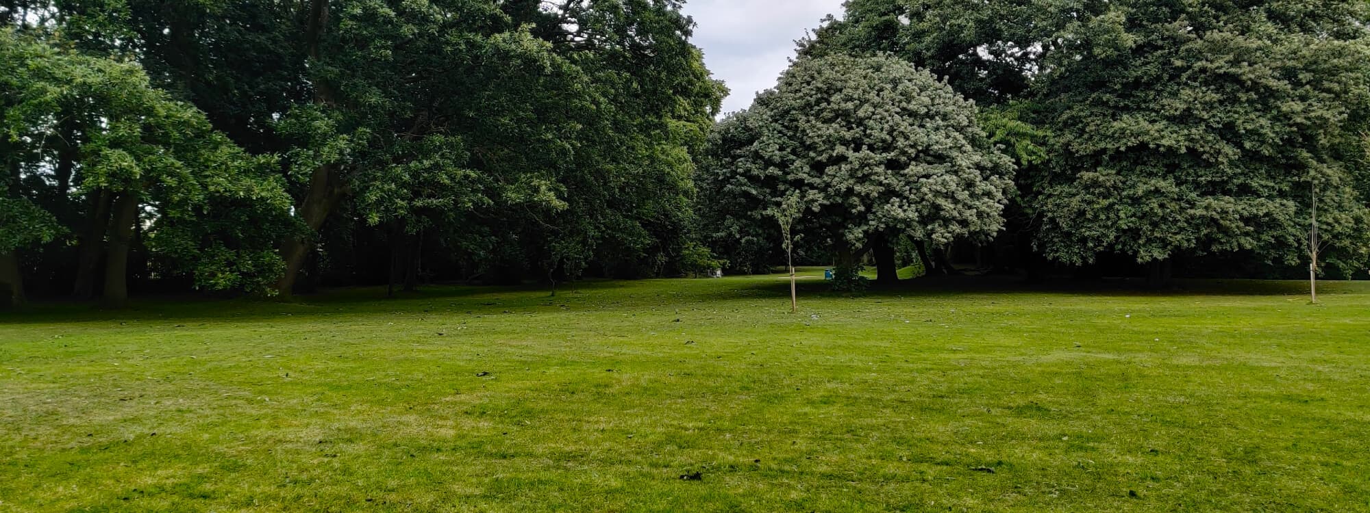 Dartmouth Park Morley Leeds