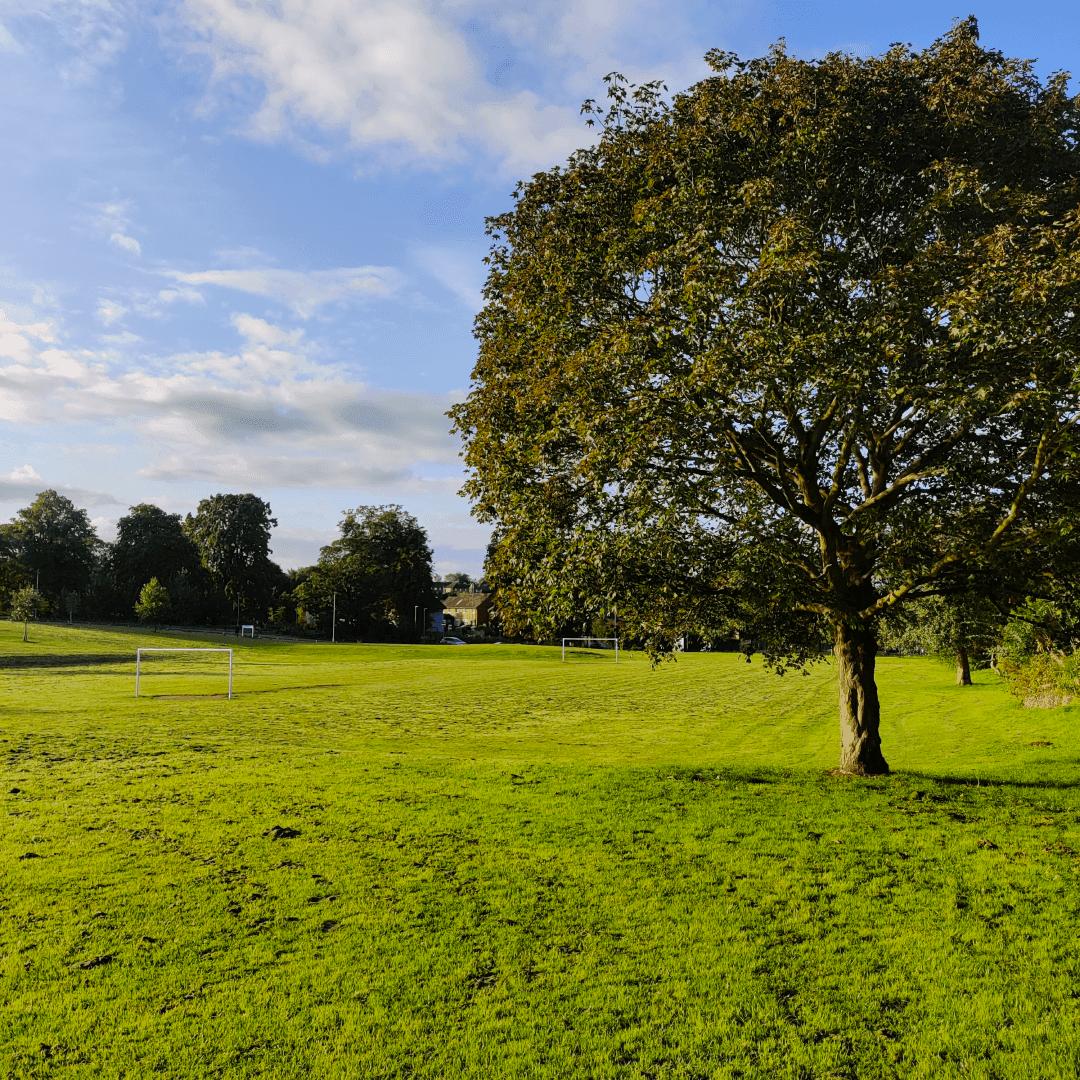 Allerton Grange Fields Allerton Grange Fields