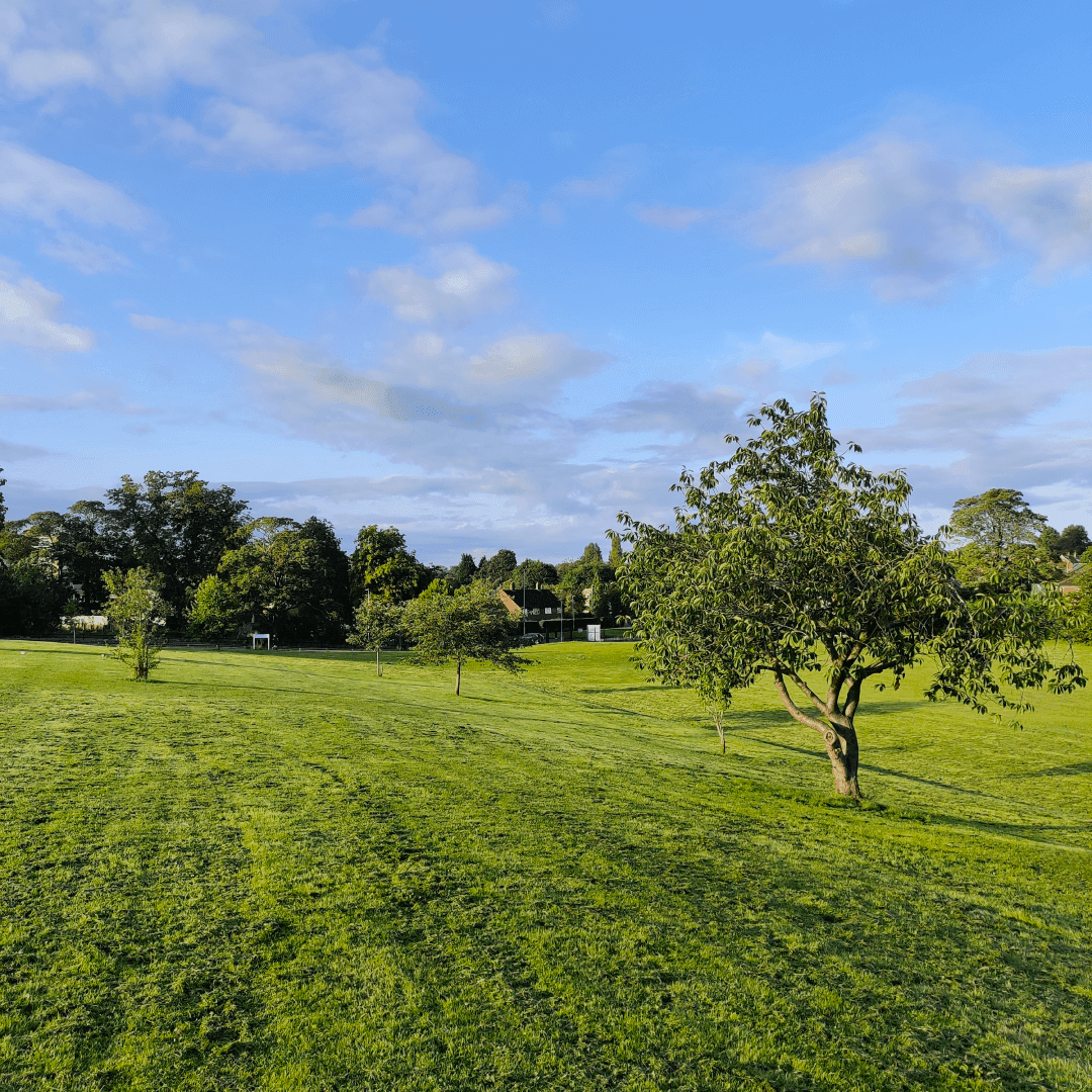 Allerton Grange Fields Allerton Grange Fields