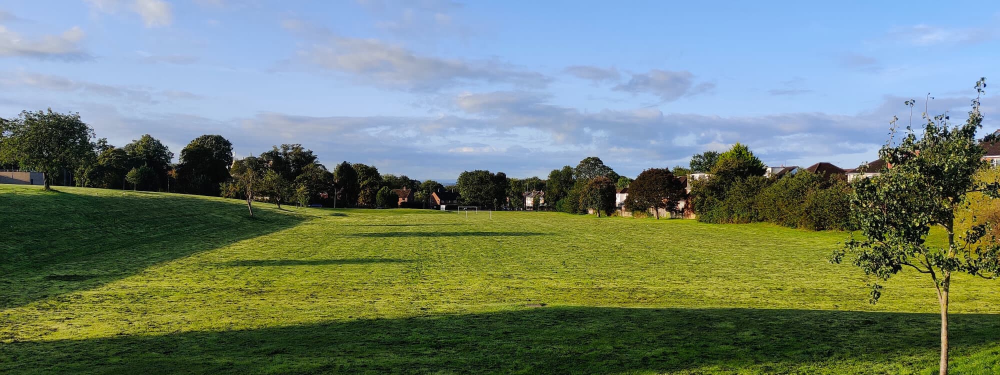 Allerton Grange Fields