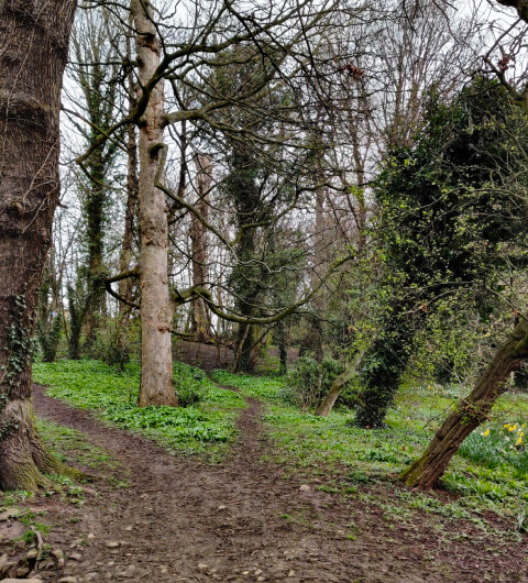 Gallows Hill Nature Reserve Gallows Hill Nature Reserve