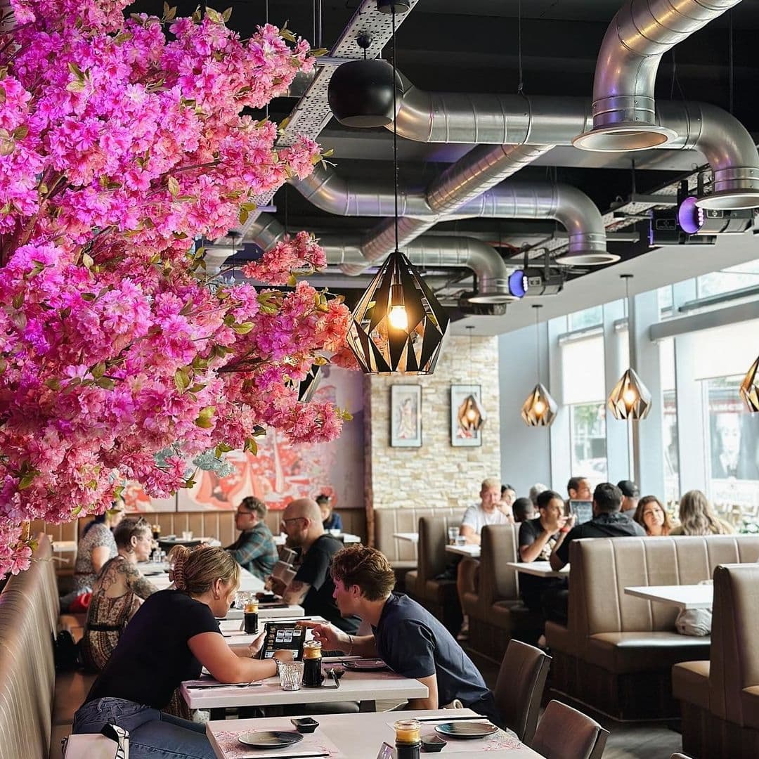 Blue Sakura Restaurant Interior Pink Blossoms Dining Experience "Vibrant pink cherry blossoms adorn the interior of Blue Sakura, with patrons dining under stylish geometric light fixtures in a cozy and modern setting."