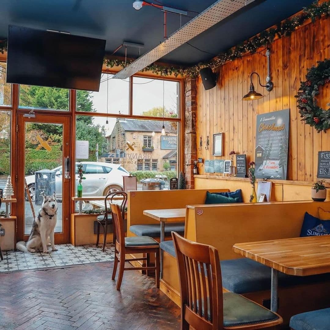 Granvilles Beer Gin House Cozy Interior Dog Festive Decor Interior of Granvilles Beer & Gin House featuring warm wooden decor, cozy seating booths with cushions, festive garland above windows, and a friendly dog sitting by the entrance.