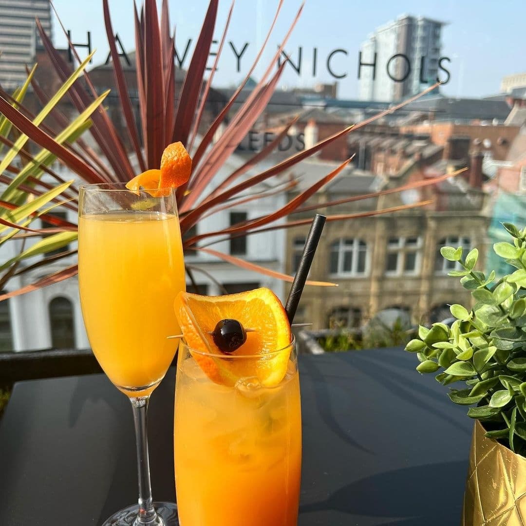 Harvey Nichols Fourth Floor Brasserie Bar Sunny Cocktails City View Two refreshing cocktails on the terrace of Harvey Nichols Fourth Floor Brasserie & Bar, with a city view and decorative plants in the foreground.