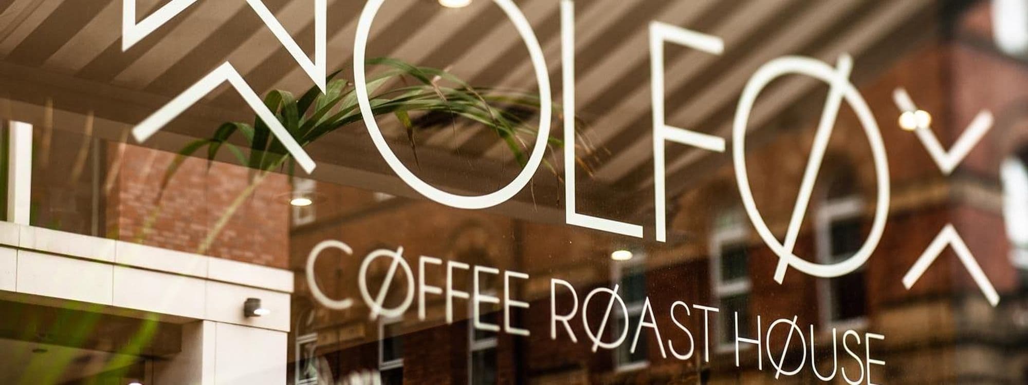 Alt text: "Close-up of the glass window signage for Wolfox Coffee at ZAVIYA COFFEE Bar & Restaurant, featuring elegant white lettering on a clear background with reflections of green plants and the warm interior lighting."