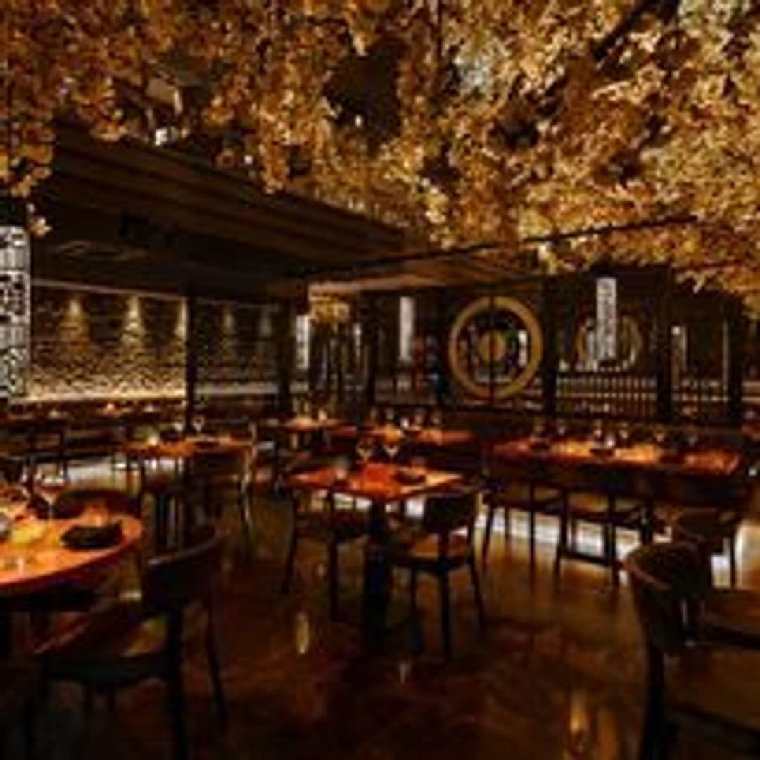 Tattu_Ambient_Golden_Lighting_Elegant_Dining Interior of Tattu restaurant with ambient lighting, golden foliage decor overhead, and wooden tables set for dining.