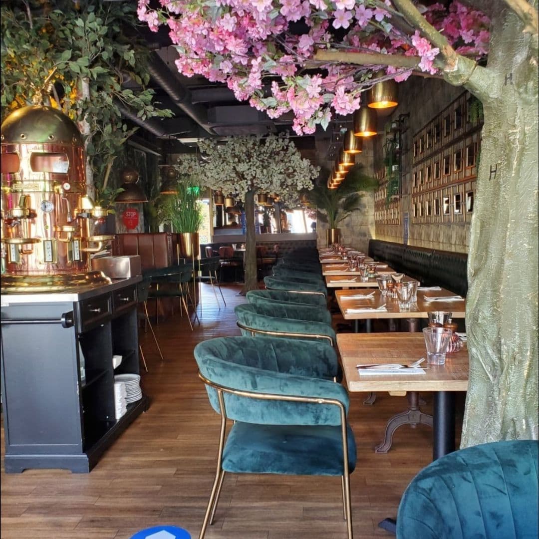 Santorini Bar and Grill Elegant Indoor Dining Floral Decor Interior of Santorini Bar and Grill featuring elegant green velvet chairs, wooden tables set for dining, decorative pink blossoms overhead, and a vintage espresso machine at the bar.