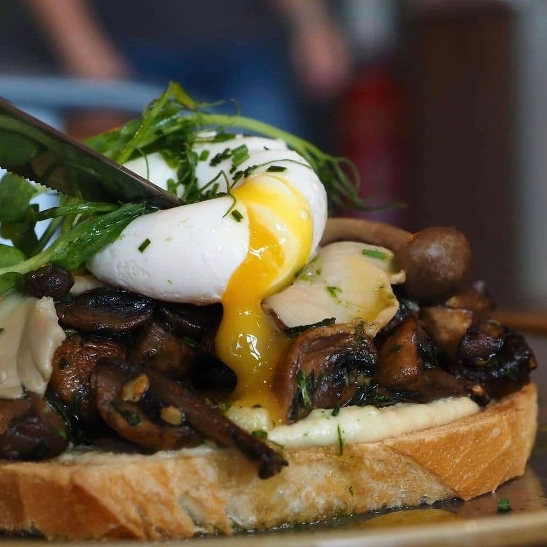 Kofi Co Roundhay delicious poached egg mushroom toast brunch Alt text: A close-up of a delicious dish featuring a poached egg with a runny yolk, served on toasted bread topped with sautéed mushrooms and fresh herbs at Kofi&Co – Roundhay.