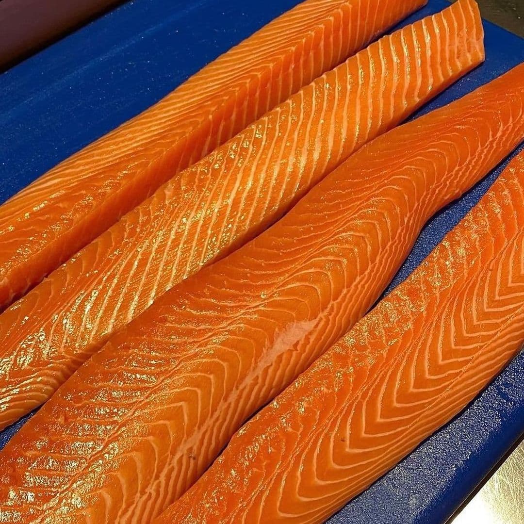 Fern Modern Sushi fresh salmon fillets vibrant seafood cuisine Fresh salmon fillets displayed on a blue cutting board at Fern Modern Sushi. The vibrant orange color and distinct patterns highlight the quality of the fish.