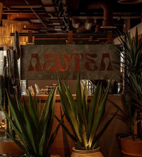 Azotea restaurant interior plants signature modern Sign for Azotea surrounded by green plants in a stylish restaurant setting. The interior features warm lighting and a modern design, creating a welcoming atmosphere.