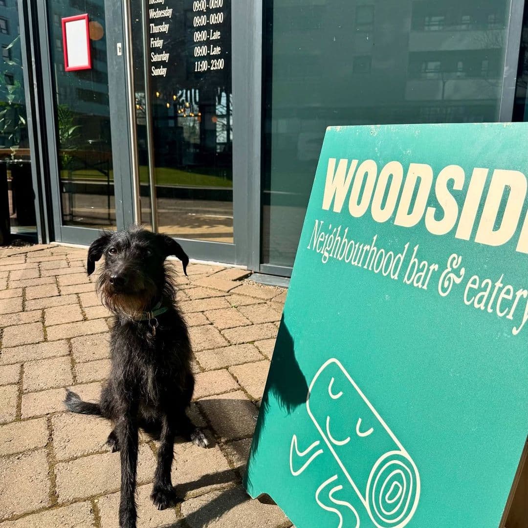 Woodside Neighbourhood Bar Eatery dog friendly patio signage outdoor dining A friendly dog sits in front of the entrance to Woodside Neighbourhood Bar & Eatery, next to a green sign displaying the establishment's name. The outdoor area features a paved walkway and large glass doors, inviting visitors to enjoy the space.