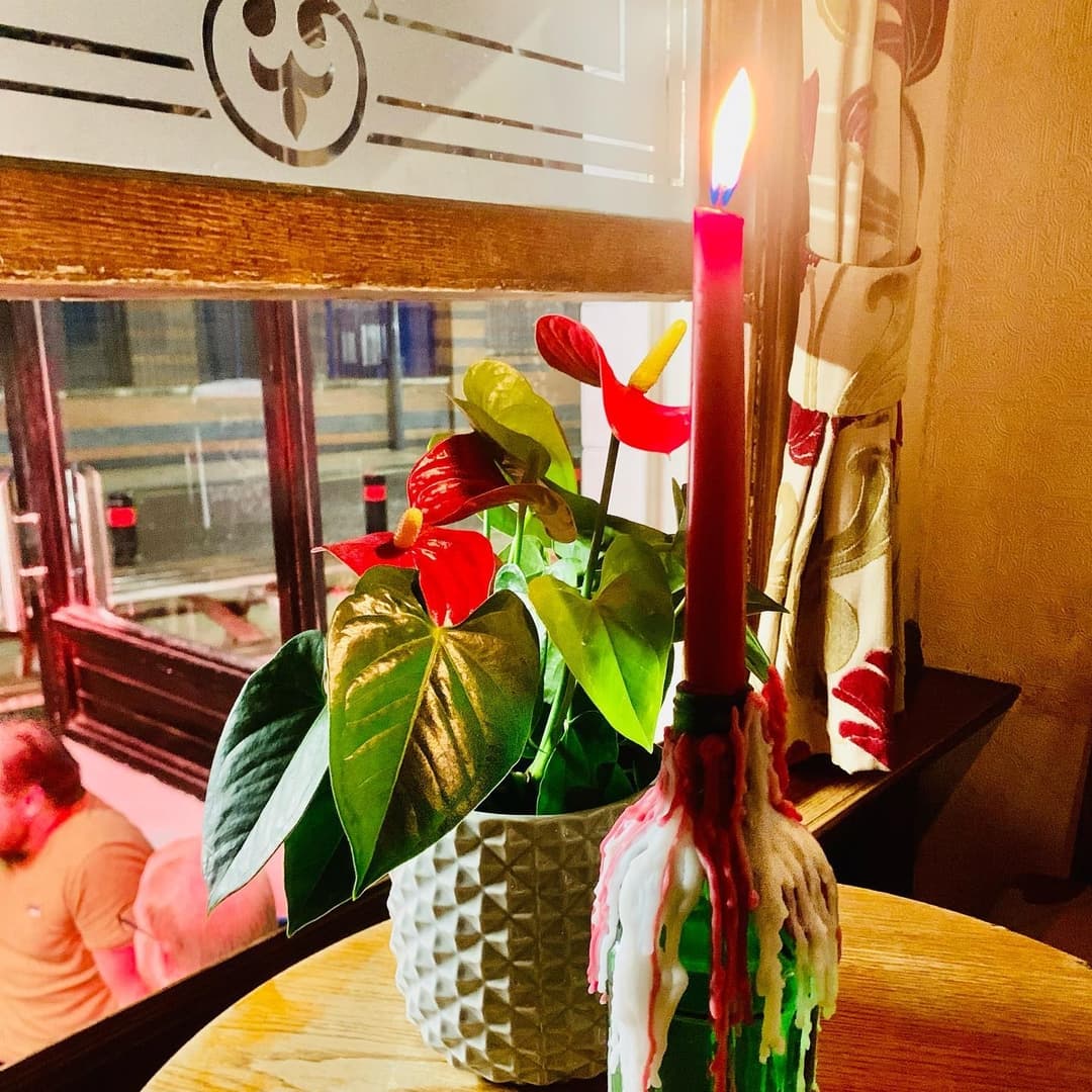 Cozy Candlelit Table with Vibrant Plants A cozy table setting with a colorful plant, a lit candle, and warm ambient lighting, creating an inviting atmosphere.