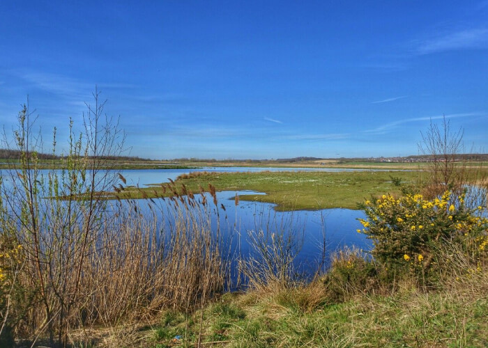 St Aidans Nature Reserve