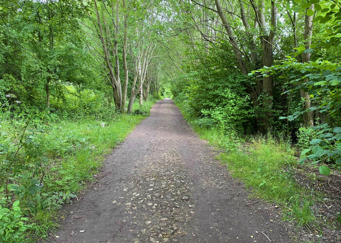 Kirkstall Valley Nature Reserve