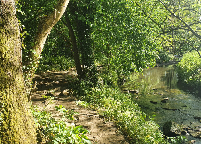 The beck alongside path at Pudsey Post Hill