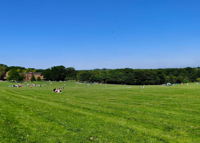 Temple Newsam Picnic